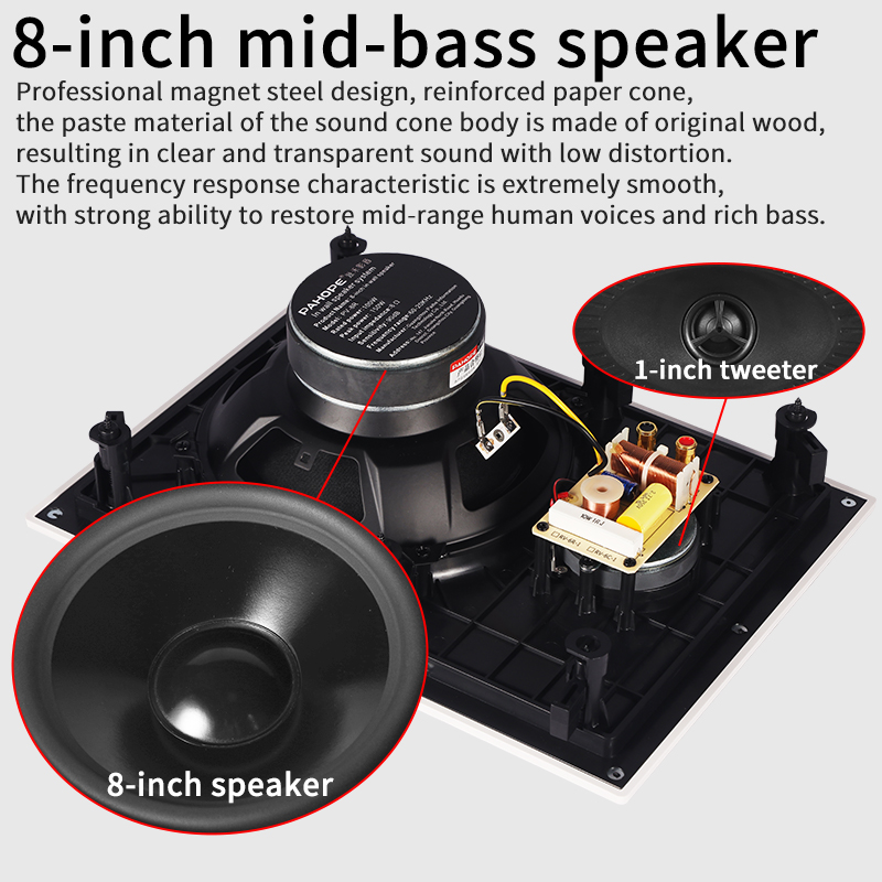 HIFI Inwall Speaker 100watts C - Home Cinema Theater 评论和价格
